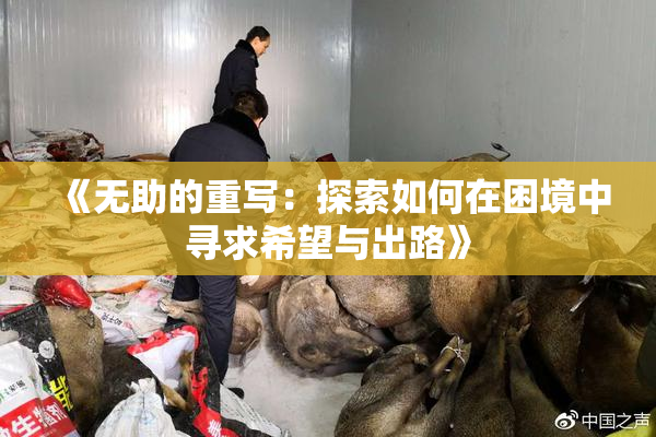 《无助的重写：探索如何在困境中寻求希望与出路》
