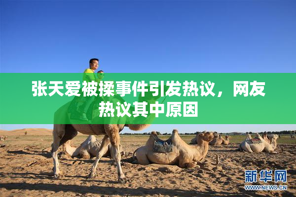 张天爱被揉事件引发热议，网友热议其中原因