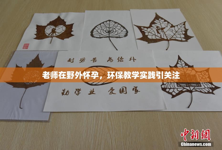 老师在野外怀孕，环保教学实践引关注