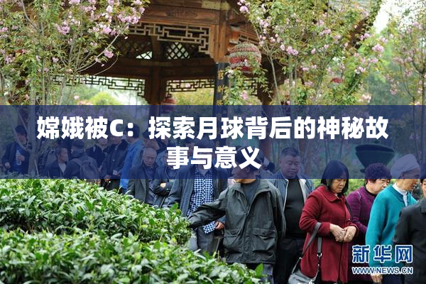 嫦娥被C：探索月球背后的神秘故事与意义
