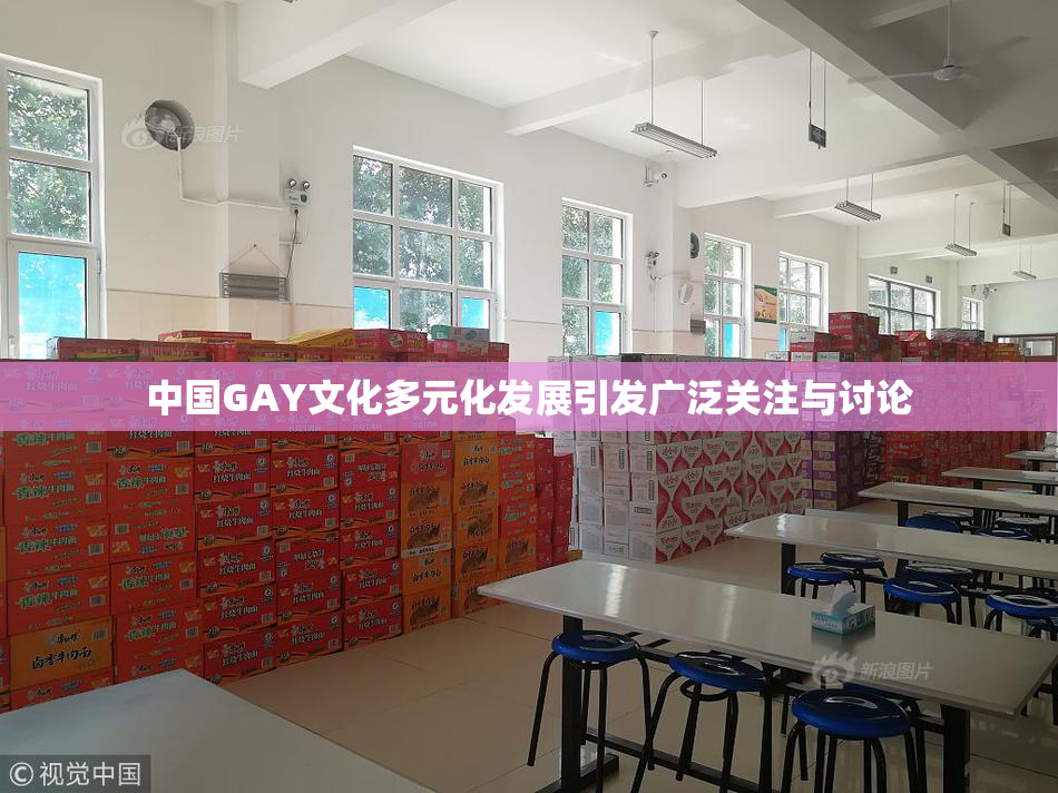 中国GAY文化多元化发展引发广泛关注与讨论