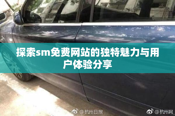 探索sm免费网站的独特魅力与用户体验分享