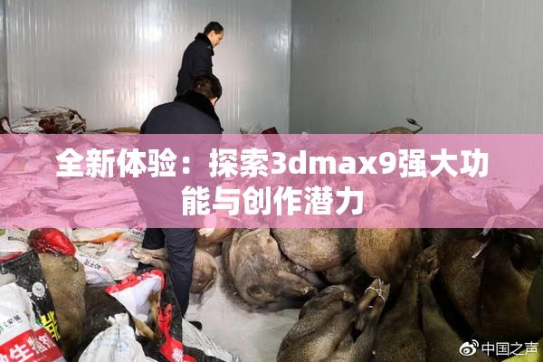 全新体验：探索3dmax9强大功能与创作潜力