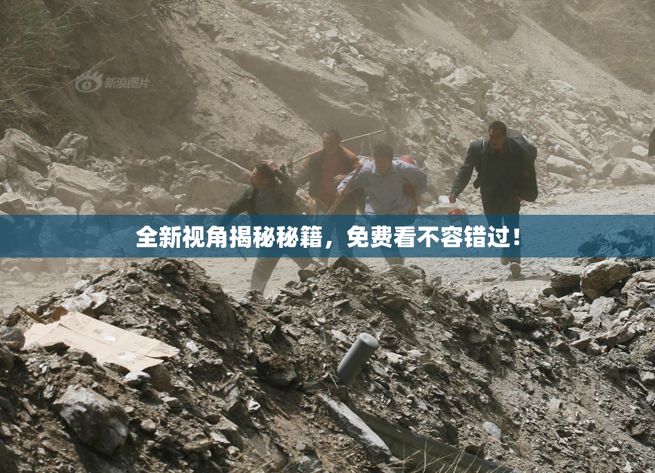 全新视角揭秘秘籍，免费看不容错过！