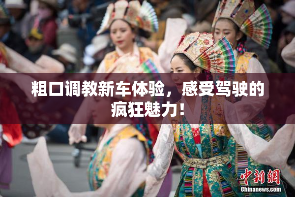 粗口调教新车体验，感受驾驶的疯狂魅力！