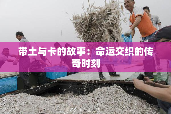 带土与卡的故事：命运交织的传奇时刻