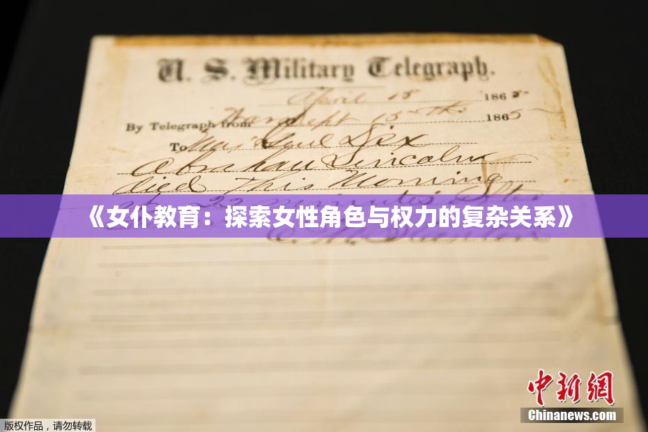 《女仆教育：探索女性角色与权力的复杂关系》