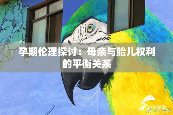 孕期伦理探讨：母亲与胎儿权利的平衡关系
