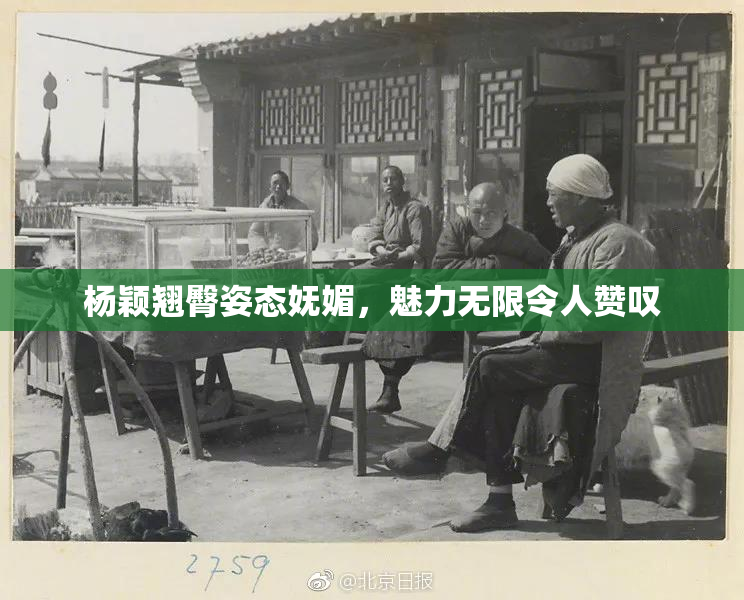 杨颖翘臀姿态妩媚，魅力无限令人赞叹