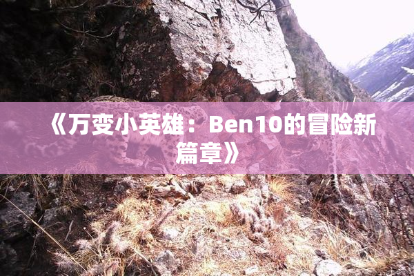 《万变小英雄：Ben10的冒险新篇章》