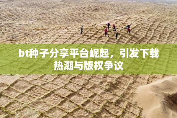 bt种子分享平台崛起，引发下载热潮与版权争议
