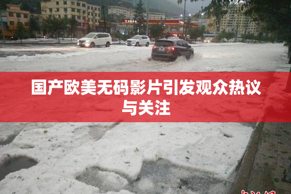 国产欧美无码影片引发观众热议与关注