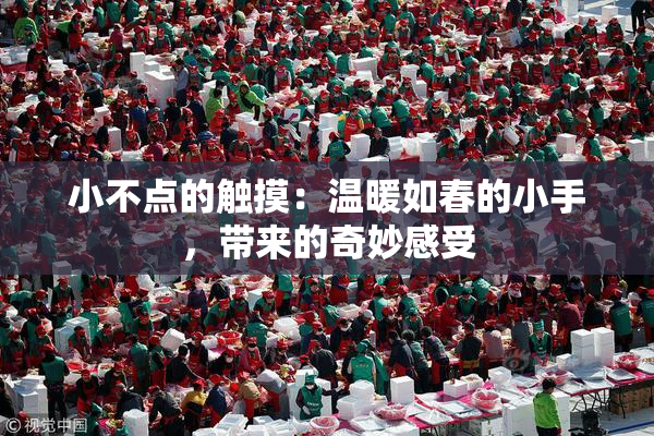 小不点的触摸：温暖如春的小手，带来的奇妙感受