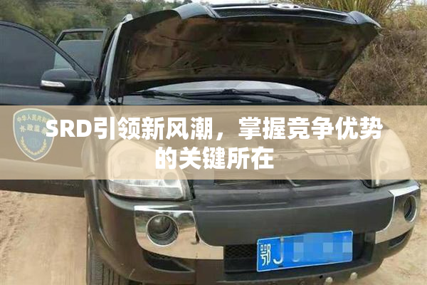 SRD引领新风潮，掌握竞争优势的关键所在