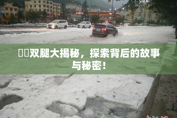 妺妺双腿大揭秘，探索背后的故事与秘密！