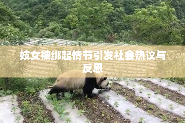 妓女被绑起情节引发社会热议与反思