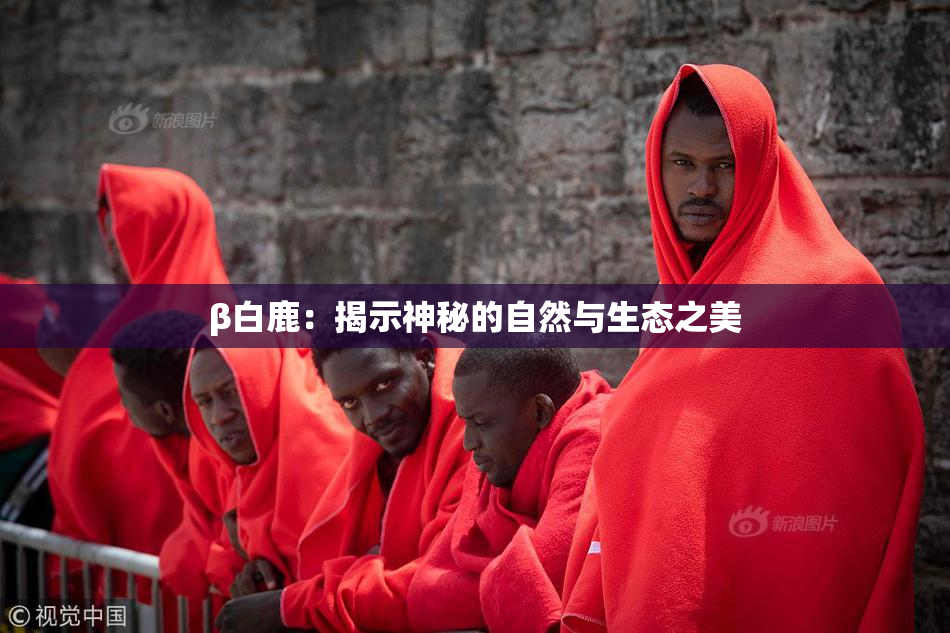 β白鹿：揭示神秘的自然与生态之美