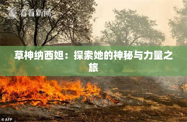 草神纳西妲：探索她的神秘与力量之旅