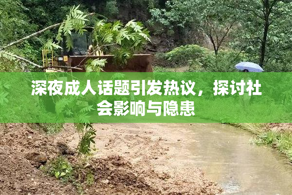 深夜成人话题引发热议，探讨社会影响与隐患