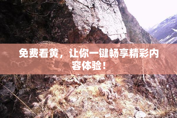 免费看黄，让你一键畅享精彩内容体验！
