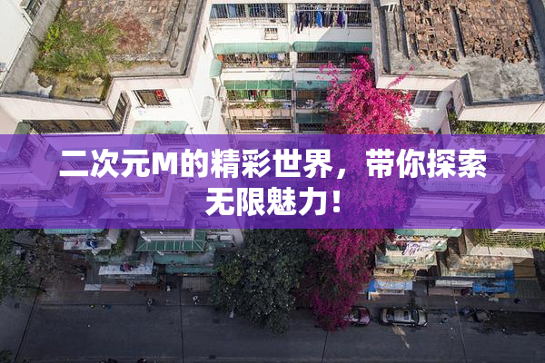 二次元M的精彩世界，带你探索无限魅力！