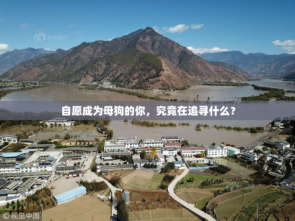 自愿成为母狗的你，究竟在追寻什么？