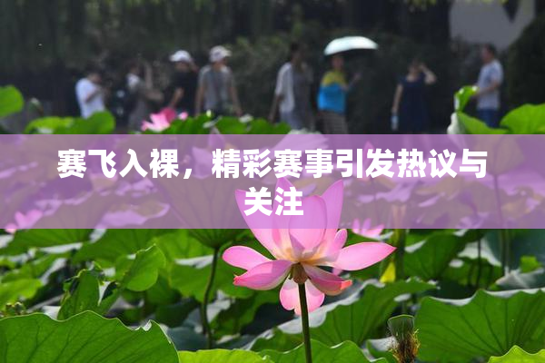 赛飞入裸，精彩赛事引发热议与关注