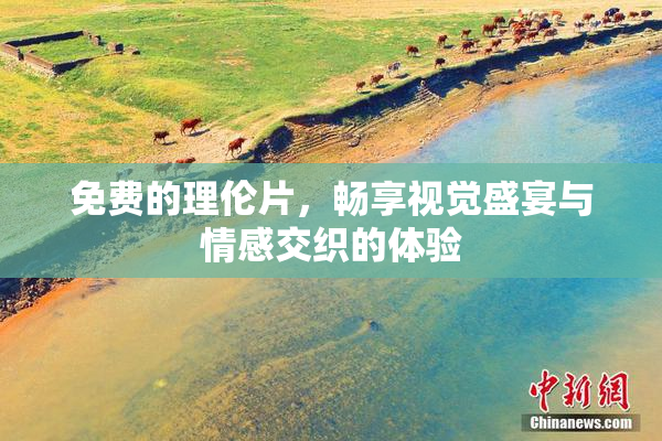 免费的理伦片，畅享视觉盛宴与情感交织的体验