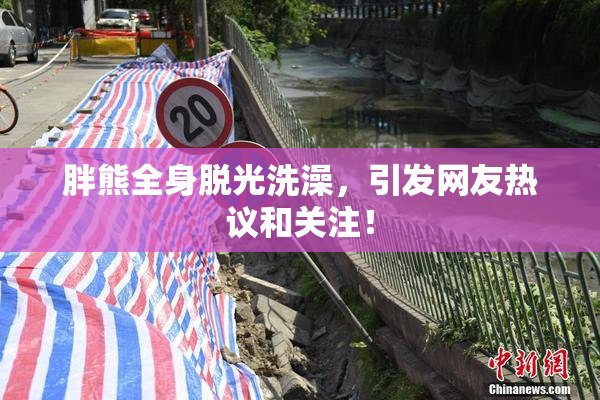胖熊全身脱光洗澡，引发网友热议和关注！