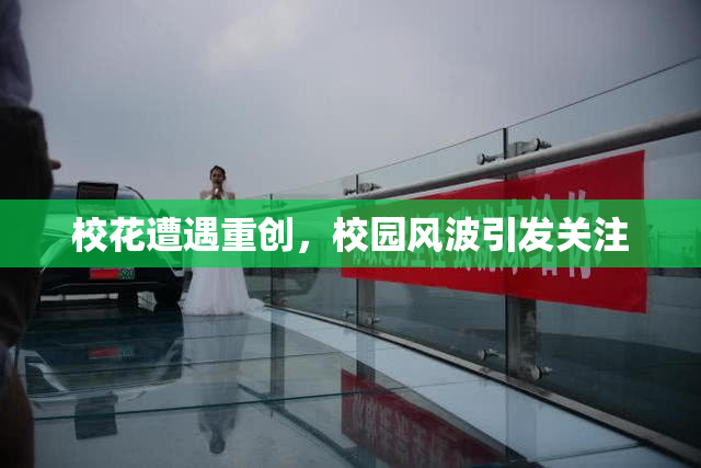 校花遭遇重创，校园风波引发关注