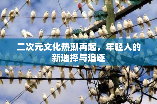 二次元文化热潮再起，年轻人的新选择与追逐