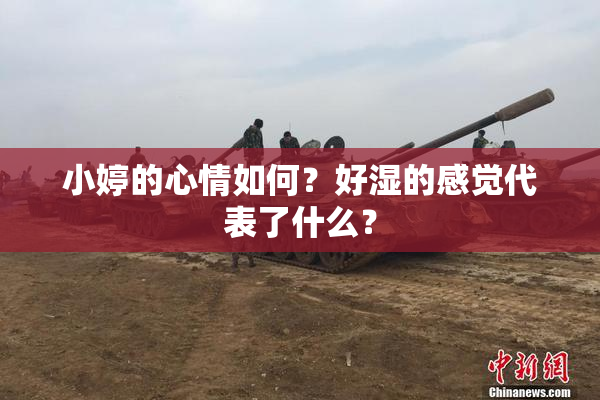 小婷的心情如何？好湿的感觉代表了什么？