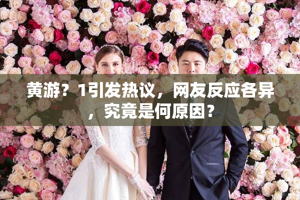 黄游？1引发热议，网友反应各异，究竟是何原因？