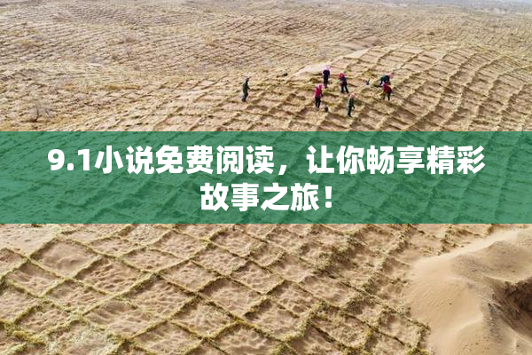 9.1小说免费阅读，让你畅享精彩故事之旅！
