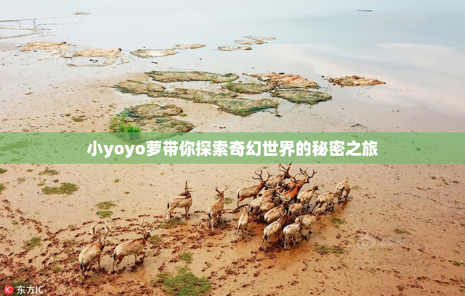 小yoyo萝带你探索奇幻世界的秘密之旅