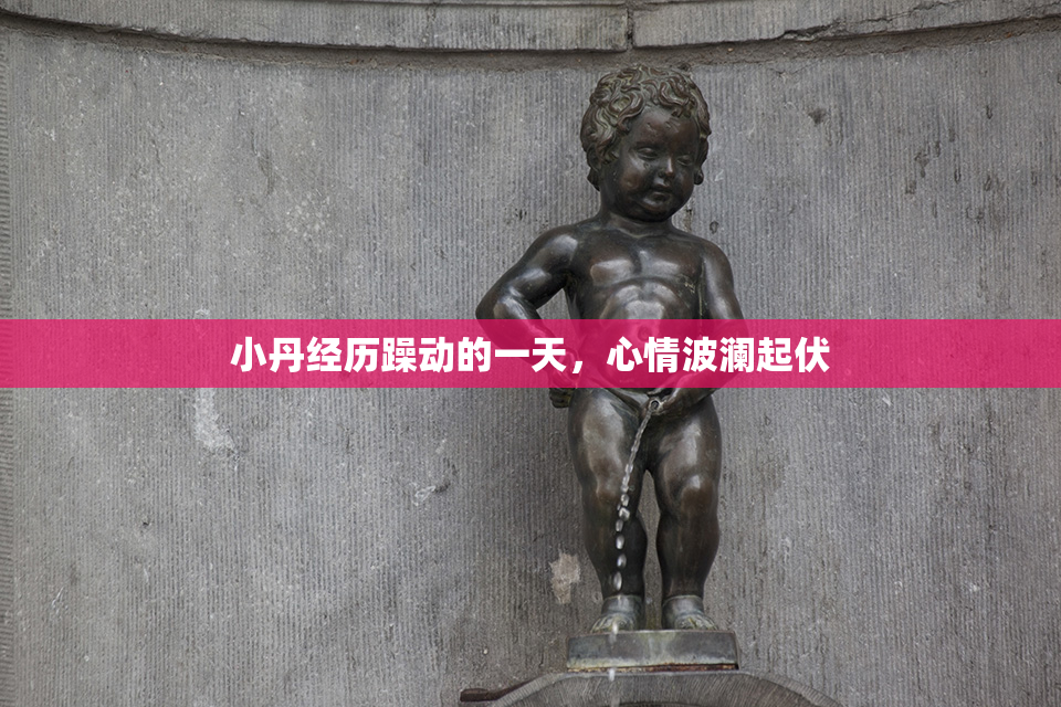 小丹经历躁动的一天，心情波澜起伏