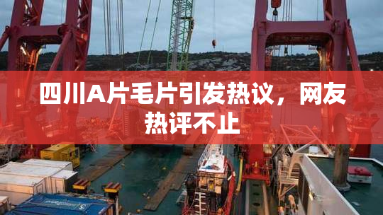 四川A片毛片引发热议，网友热评不止
