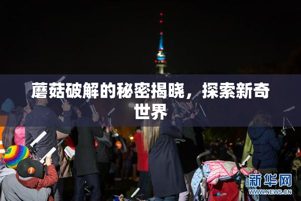 蘑菇破解的秘密揭晓，探索新奇世界