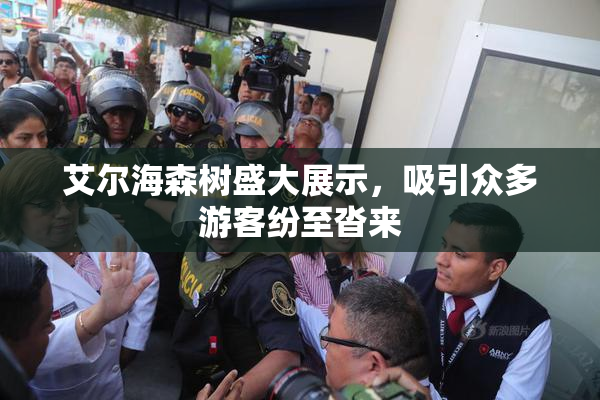 艾尔海森树盛大展示，吸引众多游客纷至沓来