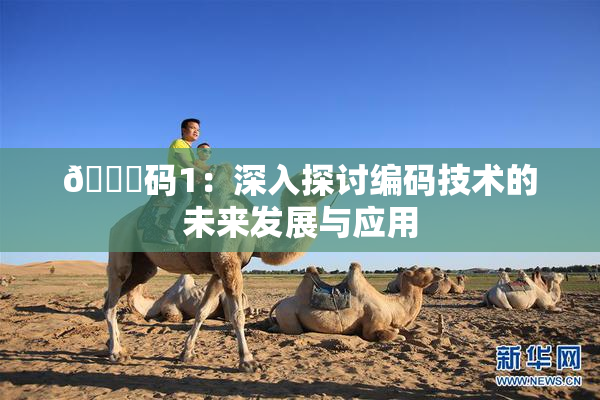 🈚码1：深入探讨编码技术的未来发展与应用