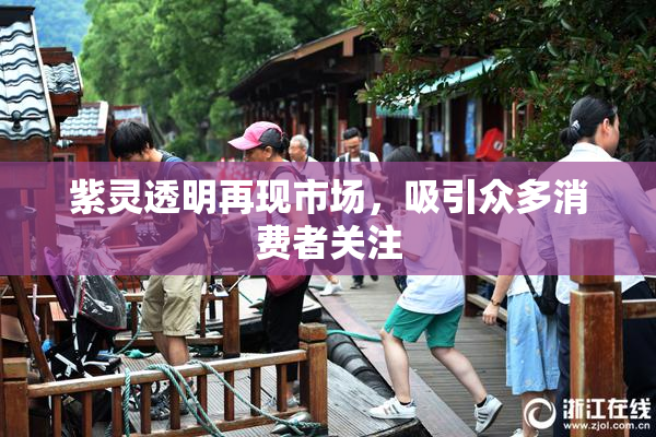 紫灵透明再现市场，吸引众多消费者关注