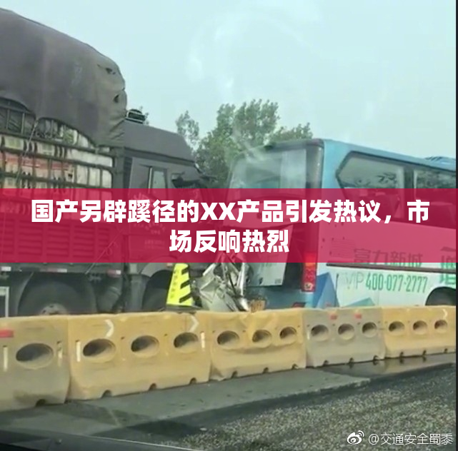 国产另辟蹊径的XX产品引发热议，市场反响热烈