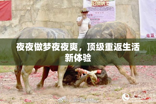夜夜做梦夜夜爽，顶级重返生活新体验