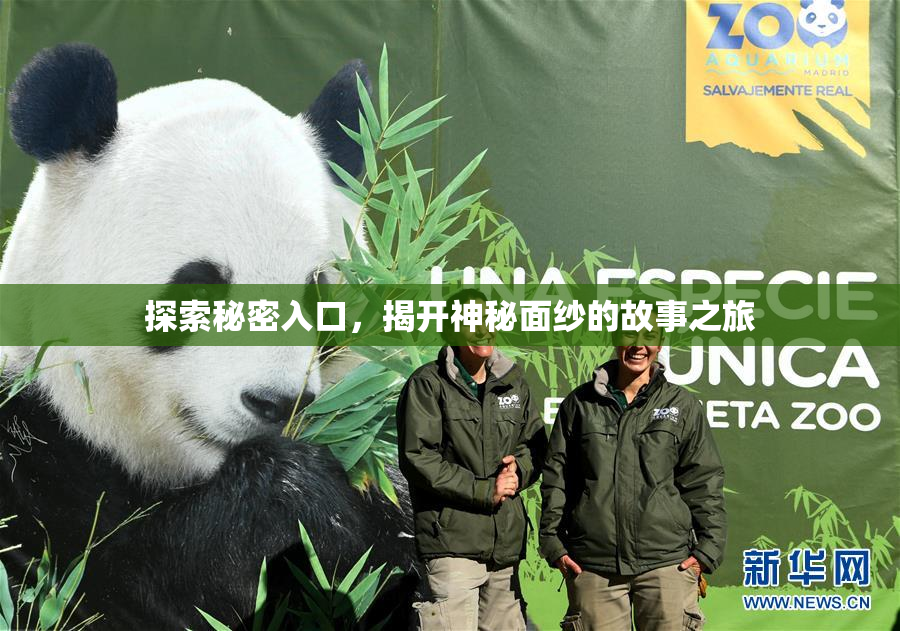 探索秘密入口，揭开神秘面纱的故事之旅