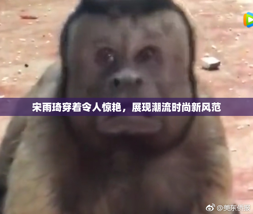 宋雨琦穿着令人惊艳，展现潮流时尚新风范