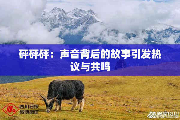 砰砰砰：声音背后的故事引发热议与共鸣