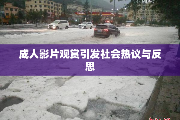 成人影片观赏引发社会热议与反思