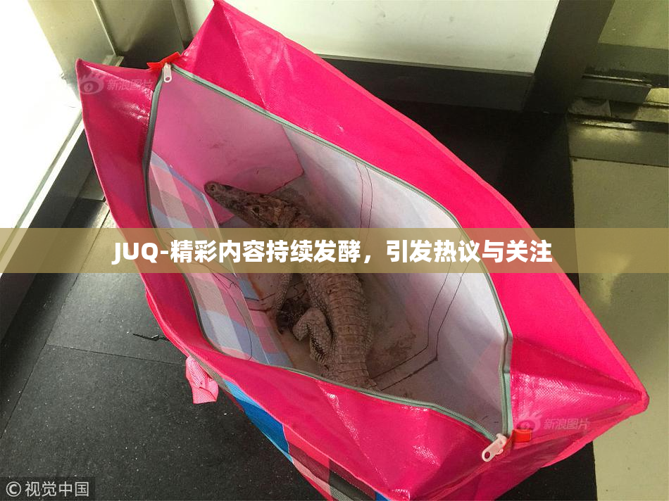JUQ-精彩内容持续发酵，引发热议与关注