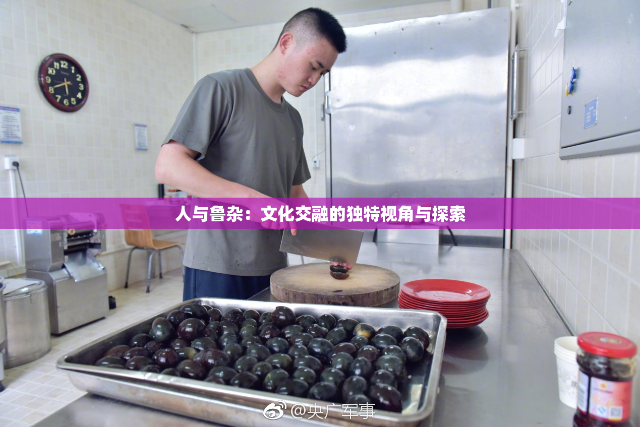 人与鲁杂：文化交融的独特视角与探索