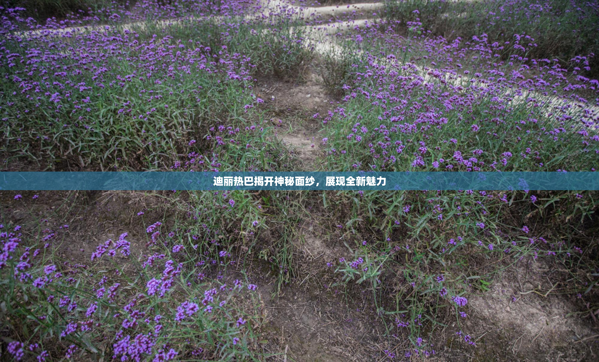 迪丽热巴揭开神秘面纱，展现全新魅力